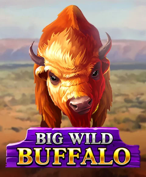 Play Big Wild Buffalo at C Bet Gg Casino